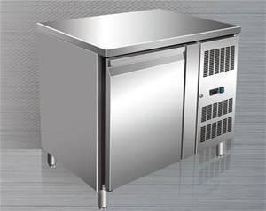 歐款單門(mén)平臺(tái)雪柜