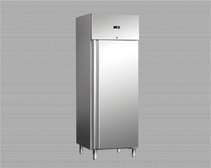 歐款高身雪柜系列