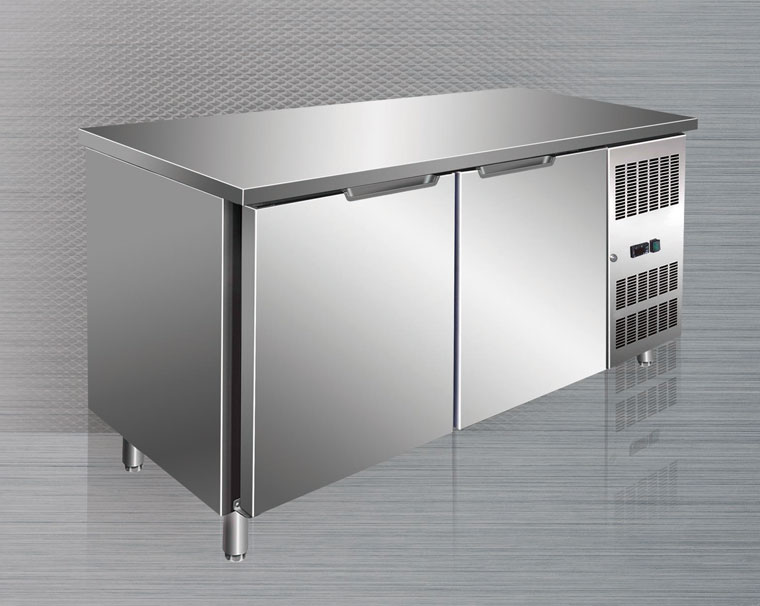 國(guó)際雙門平臺(tái)雪柜