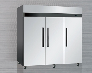 國際三大門立式雪柜
