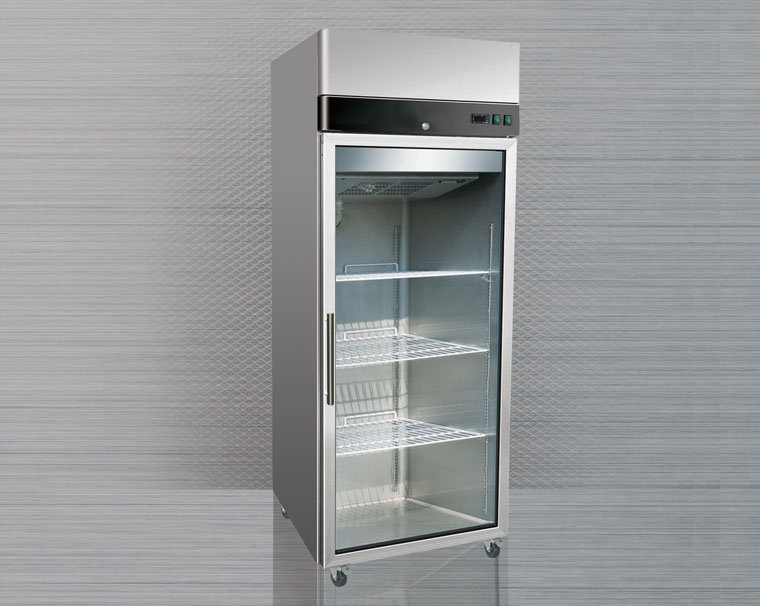 國(guó)際單玻璃門(mén)立式雪柜