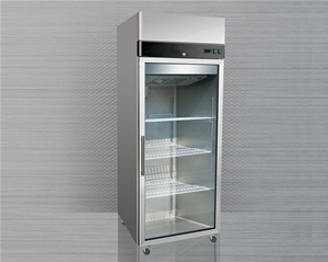 國際單玻璃門立式雪柜